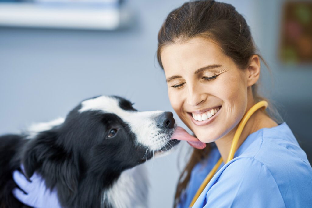 Referrals - image female-vet-examining-dog-clinic-1024x683 on https://animaleyeassociatesstl.com