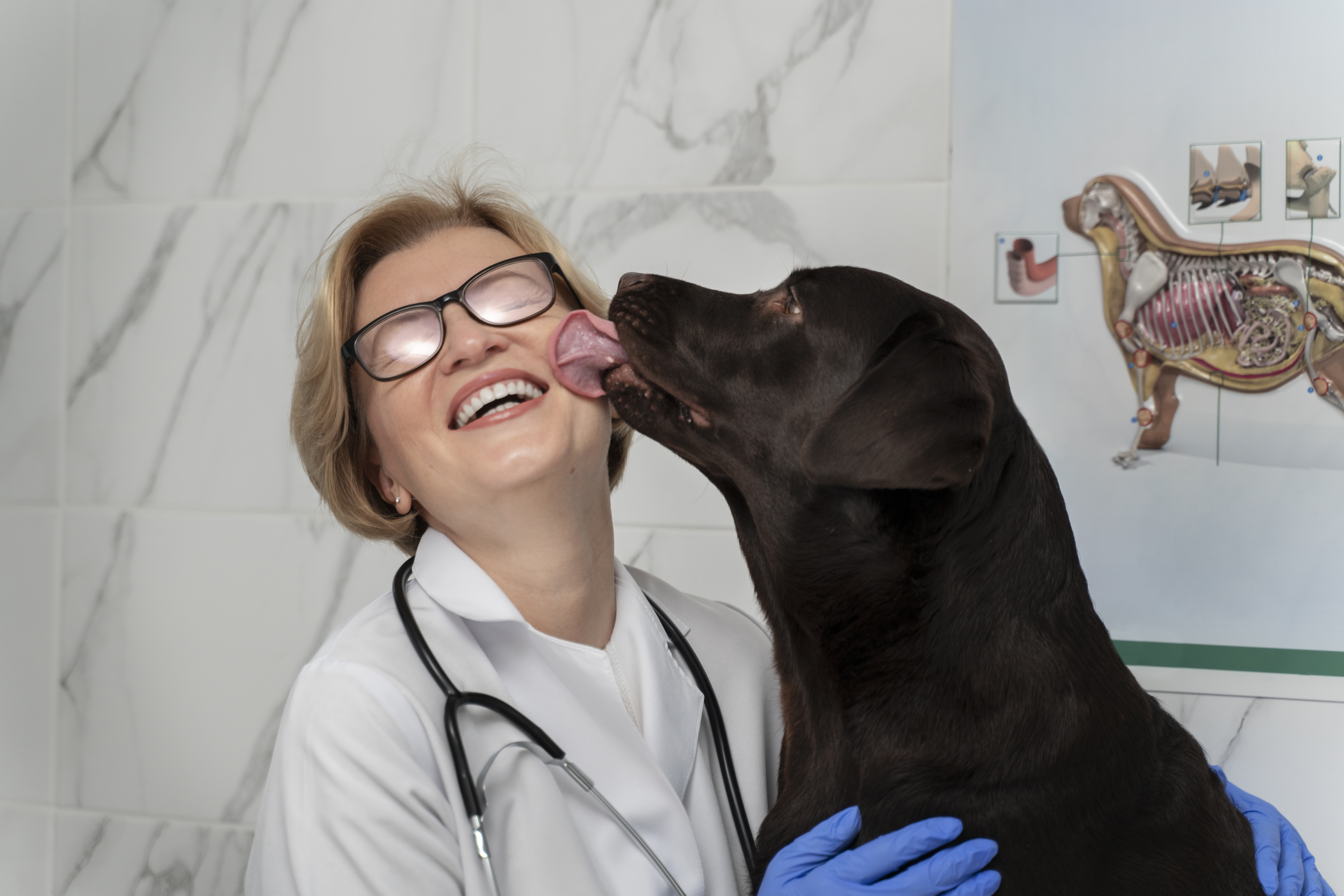 Our Blog - image close-up-dog-licking-doctor-2 on https://animaleyeassociatesstl.com
