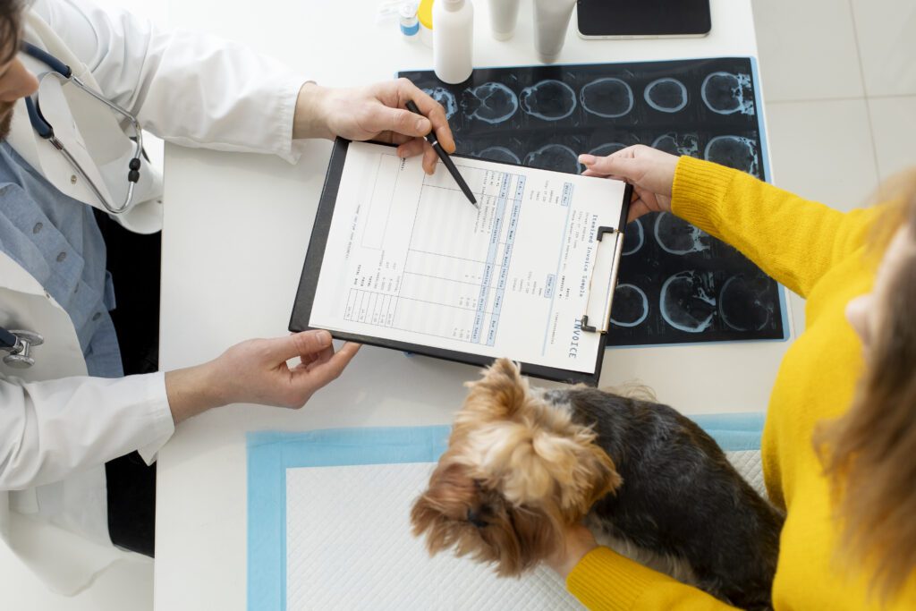 What does a veterinary eye exam entail? - image cute-dog-during-consultation-1-1024x683 on https://animaleyeassociatesstl.com