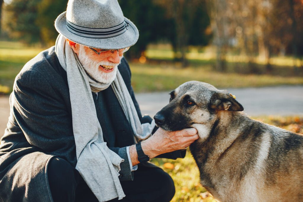 Golden Years, Clear Visions: Managing Vision Loss in Aging Pets - image elegant-old-man-sunny-autumn-park-1024x683 on https://animaleyeassociatesstl.com