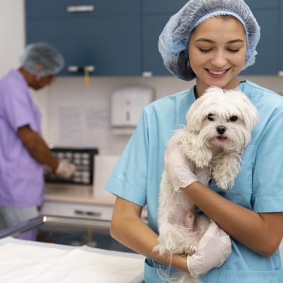 A vet holding a cute dog