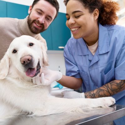 medium-shot-doctor-checking-smiley-dog